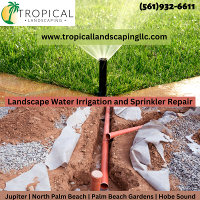 Landscape Water Drainage and Sprinkler Repair - 1