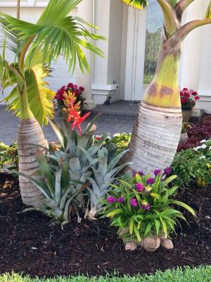 Tropical-Landscaping-16_1